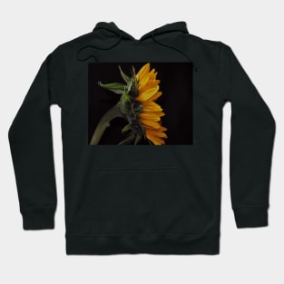 Sunflower Magic / Girasol Mágico Hoodie